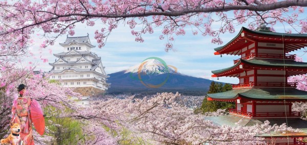 NHẬT BẢN - TUYỂN NAM NỮ ĐI LÀM NHUỘM TẠI AICHIKEN
